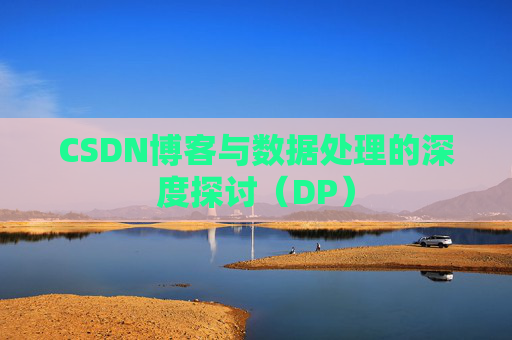 CSDN博客与数据处理的深度探讨（DP）